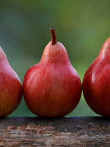 The ESPERA project serving the production of PGI Mantua pears