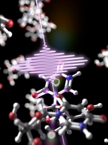 Lasers allow discovering how DNA protects itself from sunlight