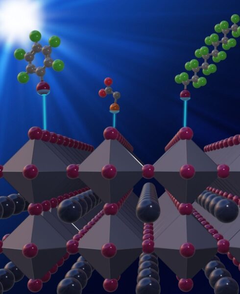 More efficient perovskite-based solar cells thanks to supramolecular chemistry