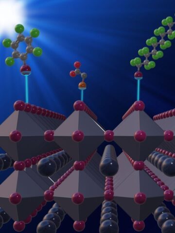 More efficient perovskite-based solar cells thanks to supramolecular chemistry