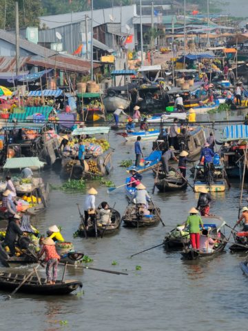 Saving the Mekong Delta from rising sea levels