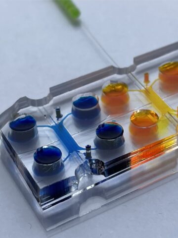 Polimi research on rare cardiomyopathy funded by telethon and cariplo