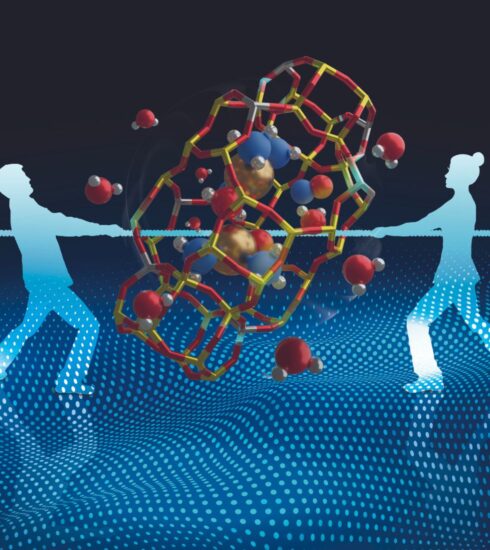 Studying catalytic mechanisms from an atomistic point of view